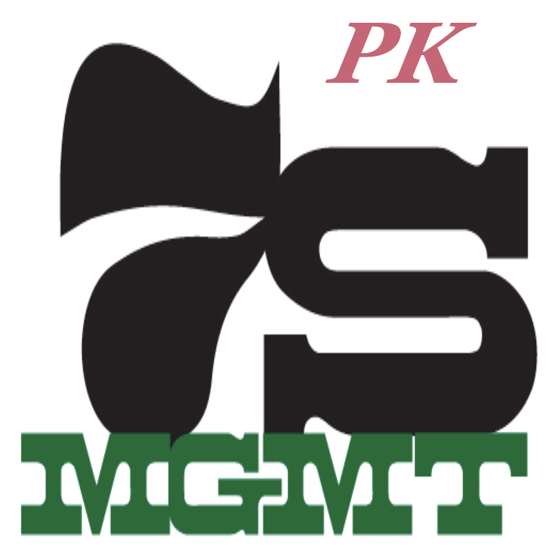 estremo oriente eccellente tecnologia 7S ispezione di gestione e promozione della valutazione
