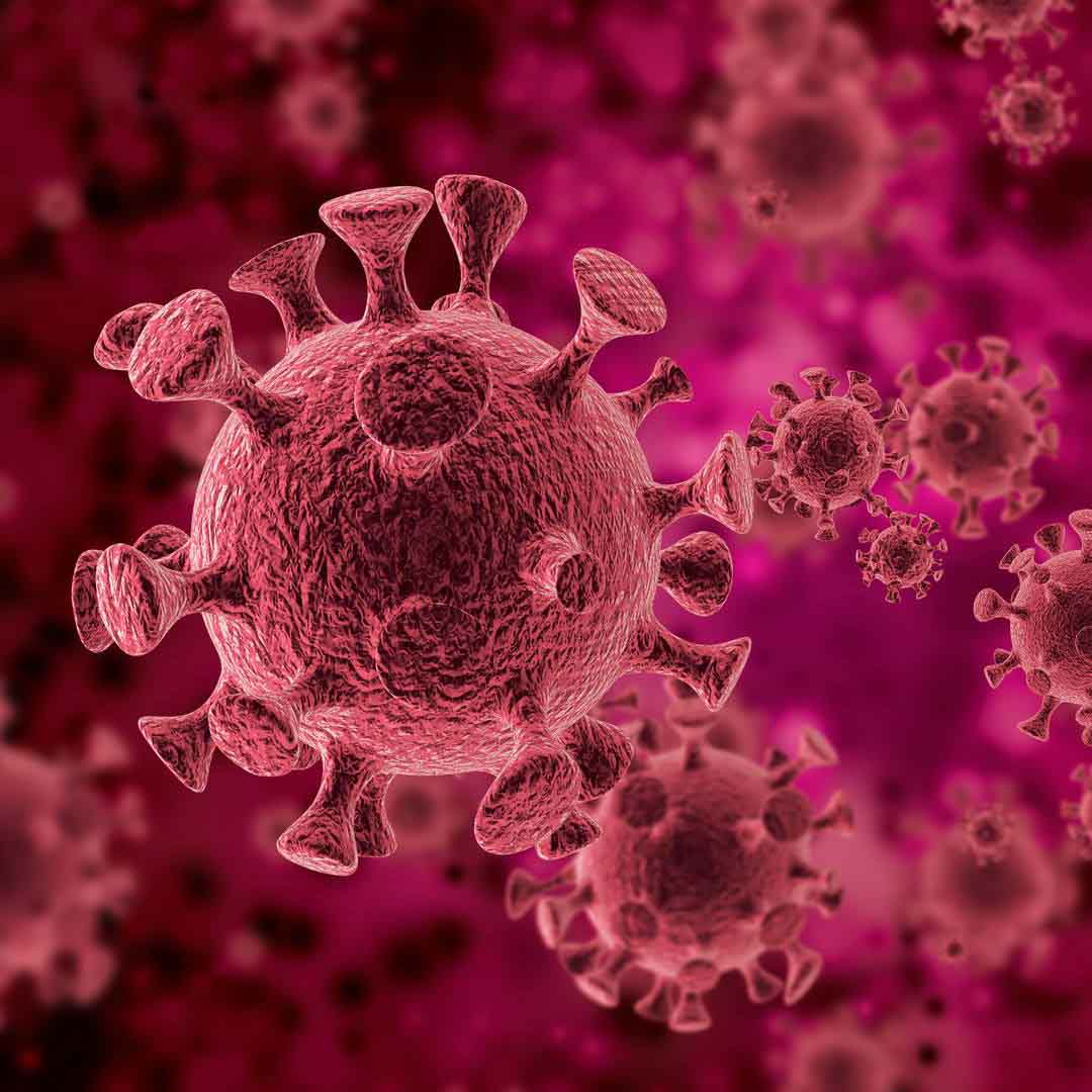 Il Covid colpisce il mondo, come possono le imprese di Shenzhen cercare opportunità di business globali?